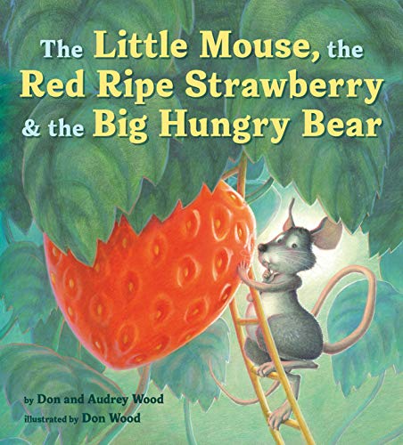 Little Mouse Hungry Bear short vowel picture books