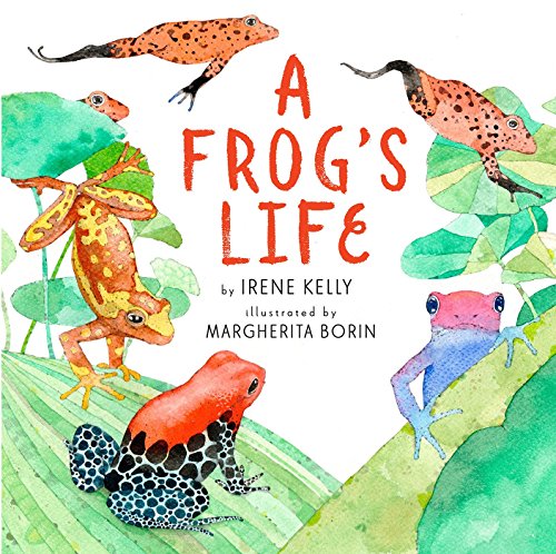 Frog Life Cycle book
