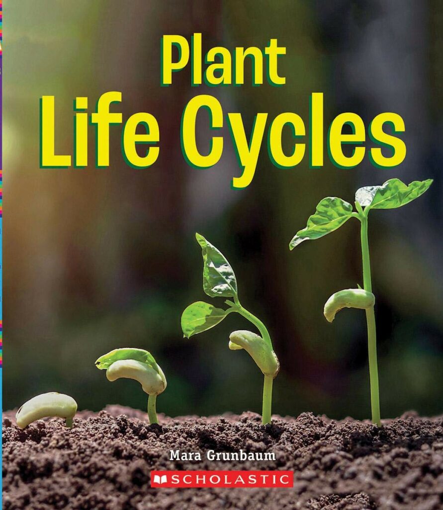Plant Life Cycle book