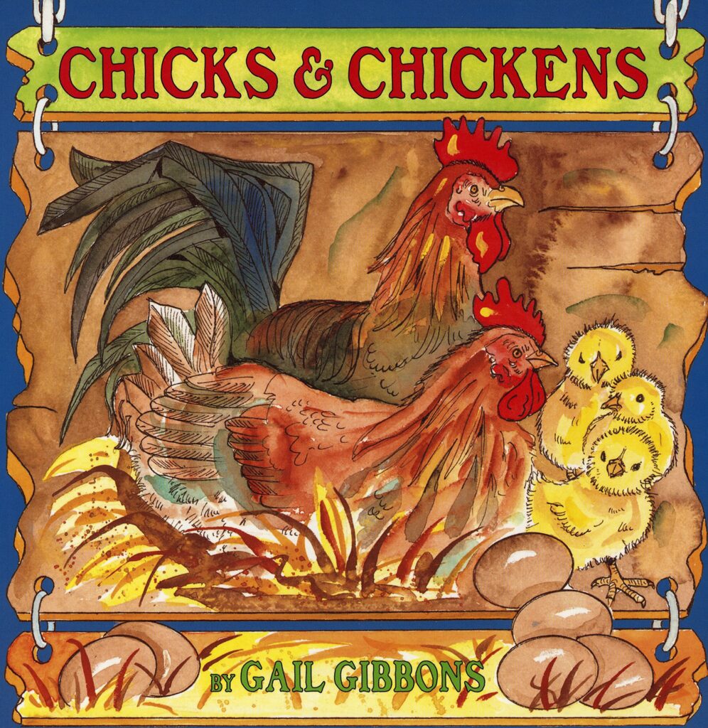 Chicks and Chickens book to teach the chicken life cycle