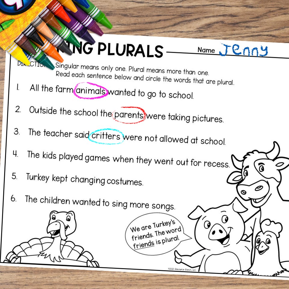 Turkey Goes to School Plurals