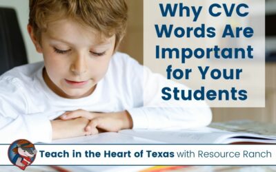 What Are CVC Words and Why Are They Important for Your Students?