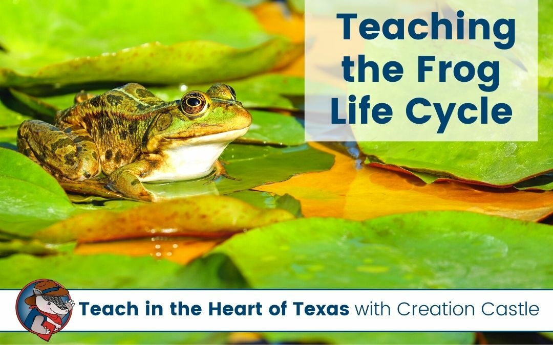 The Best Activities to Explore the Frog Life Cycle in First Grade