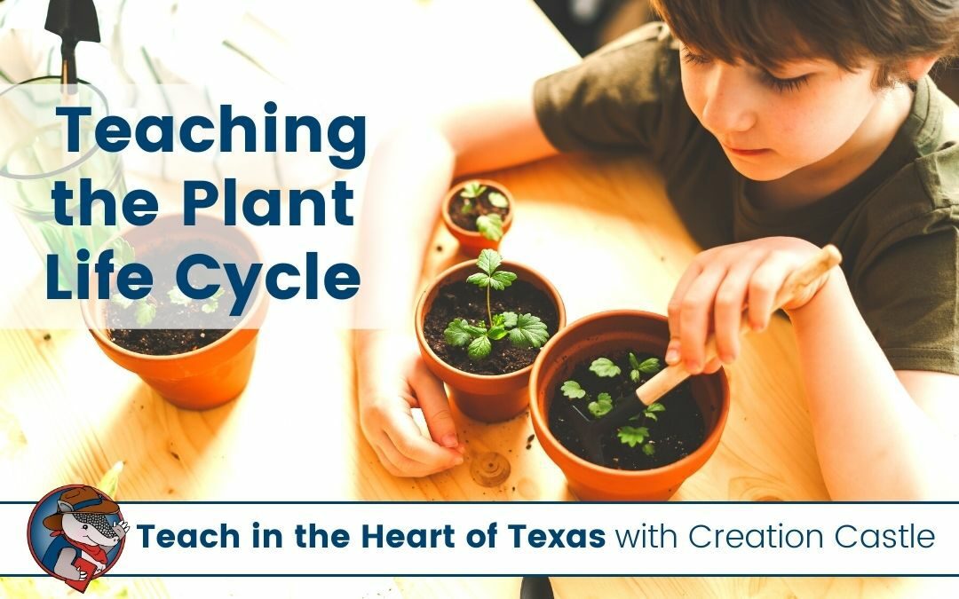 Simple and Fun Ideas for Teaching the Plant Life Cycle