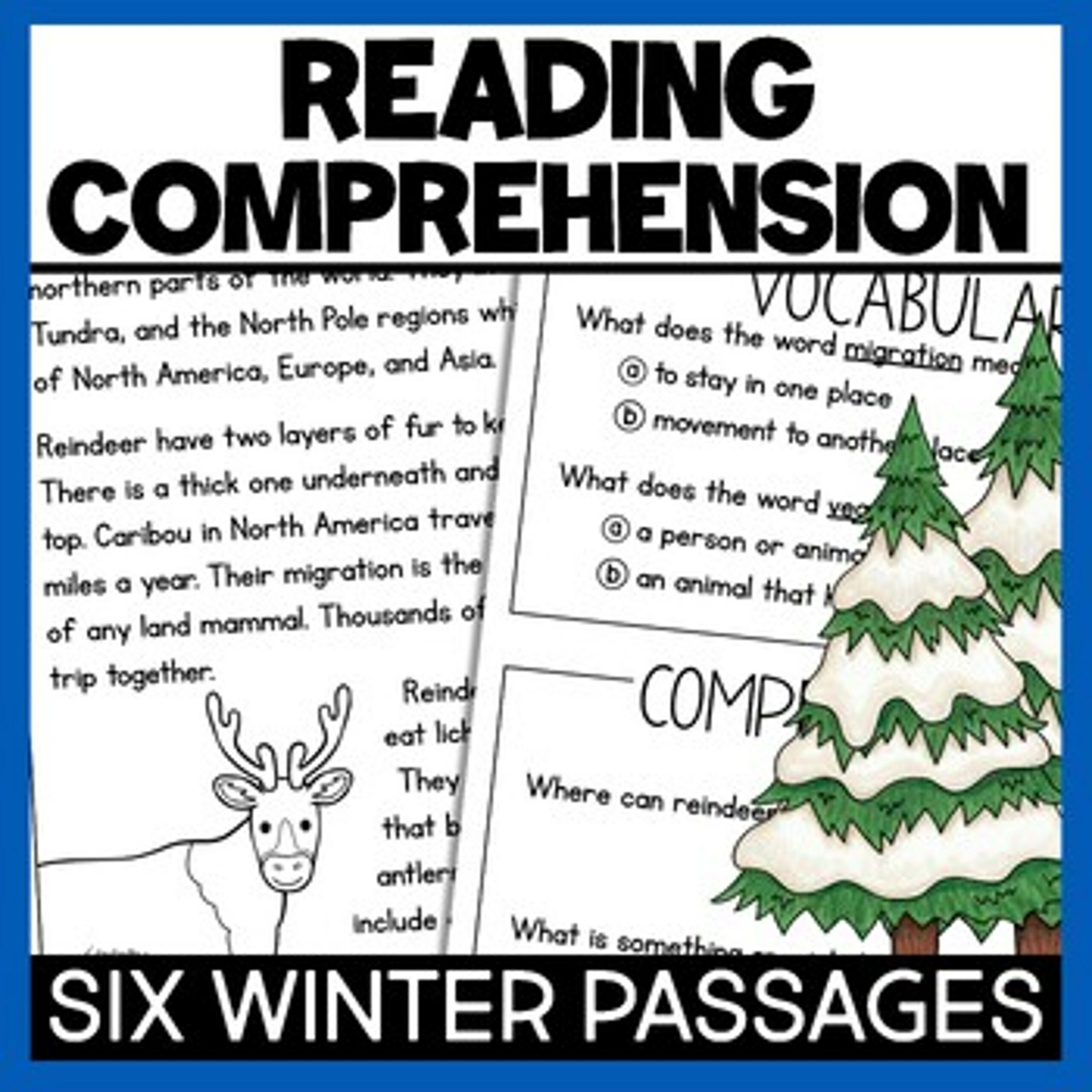 Winter Reading Comprehension scaled